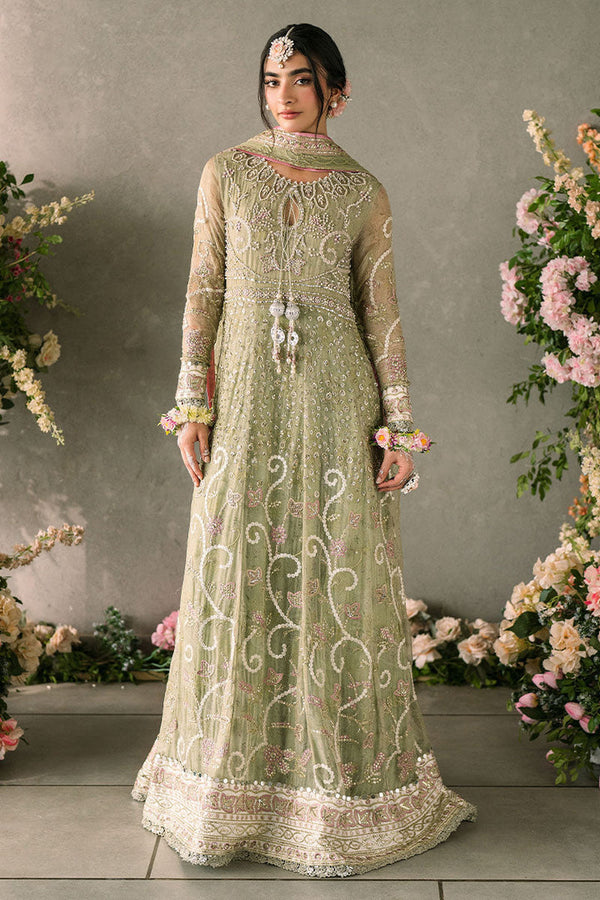 Formal Collection - Mushq - Mastani 07