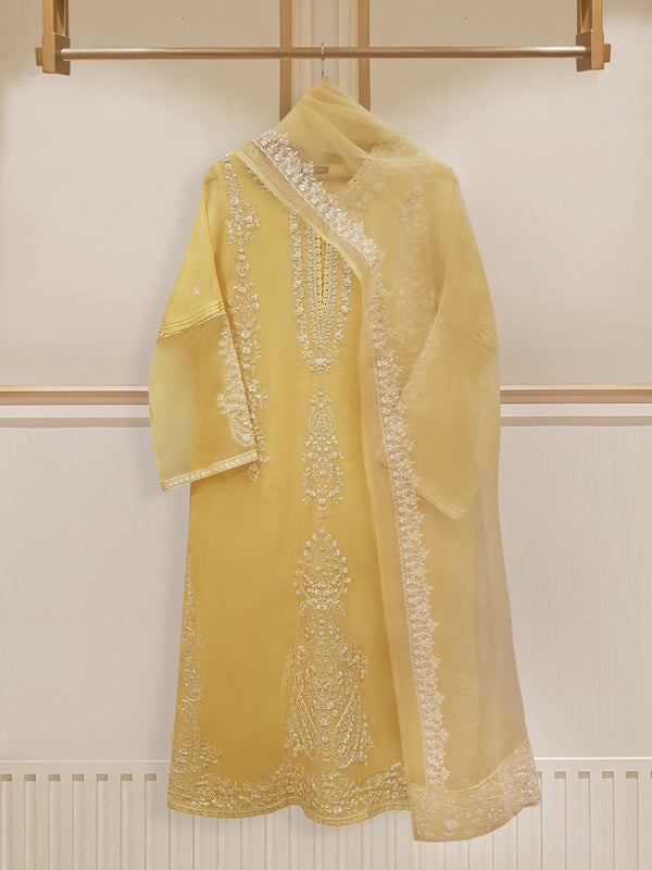 Agha Noor Cotton Net 34