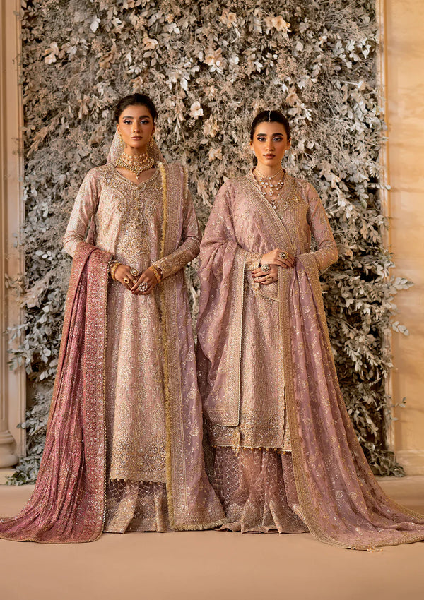 AIK WEDDING FESTIVE | 2025'| 07