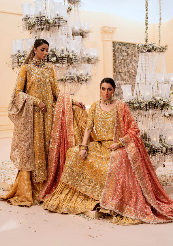 AIK WEDDING FESTIVE | 2025'| 08